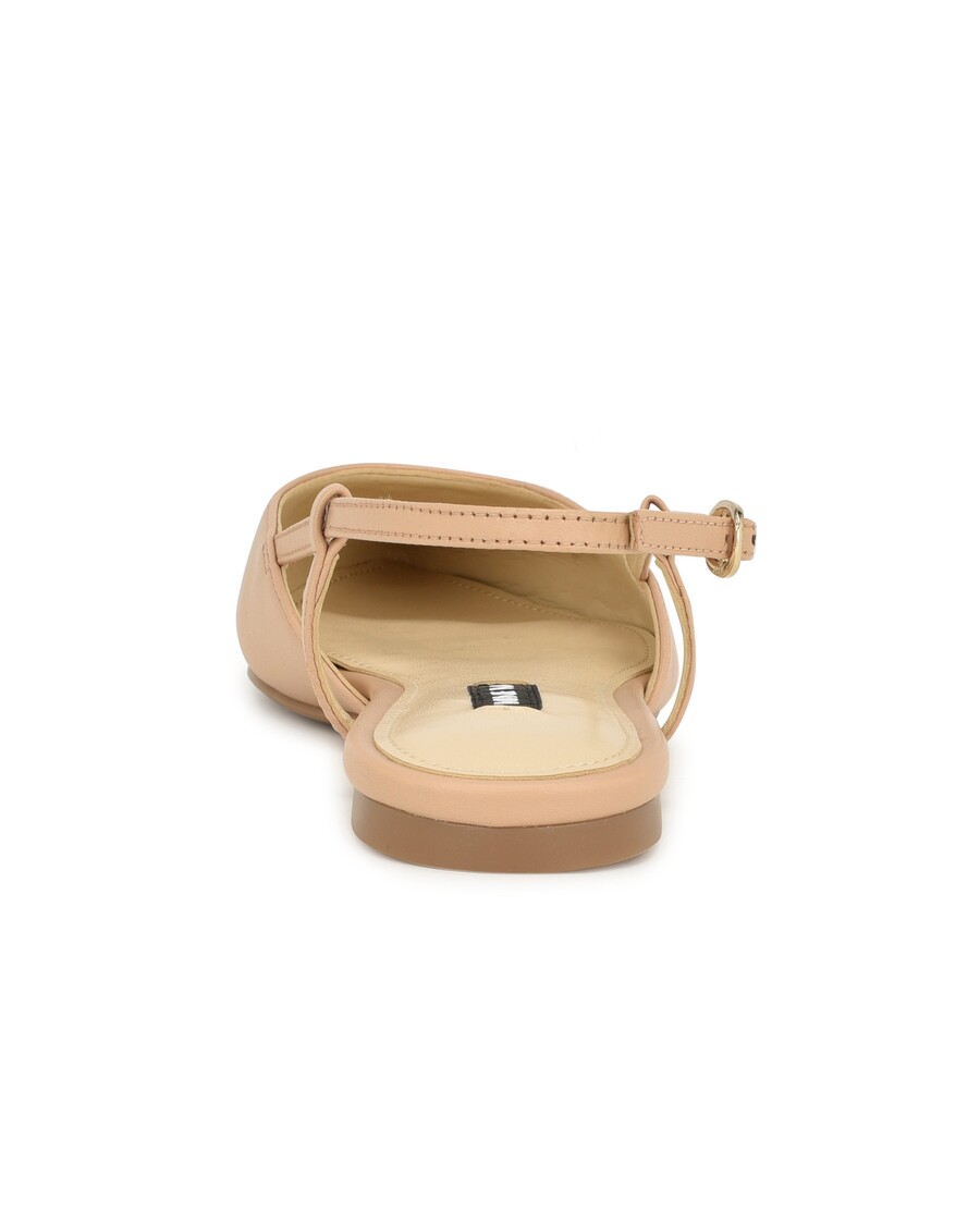 εννέα επίπεδες πλάτες με μύτη από τη δυτική μπίρκα