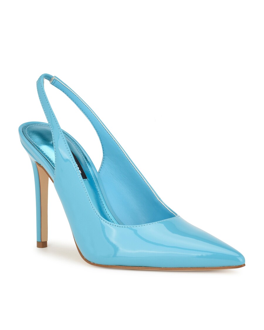 Deviņi Rietumu Spalvu Smailu Purngalu Sūkņi