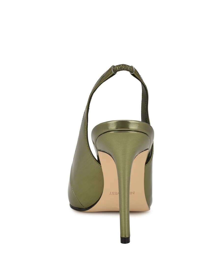 Deviņi Rietumu Spalvu Smailu Purngalu Sūkņi